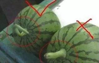 一起看吃瓜网,一起看吃瓜网带你领略明星幕后故事