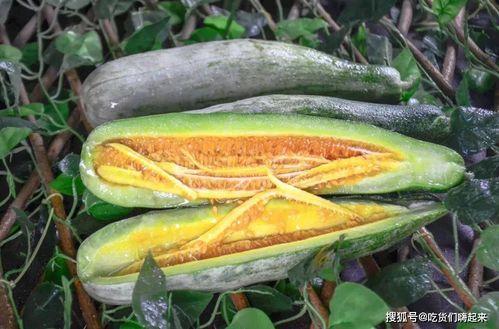 网红吃瓜金伊娜,网红吃瓜界的风云人物