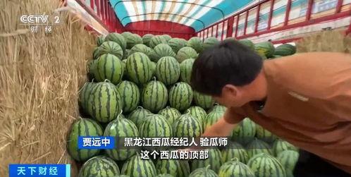 康县网红 吃瓜群微信号,网络社交新风向标