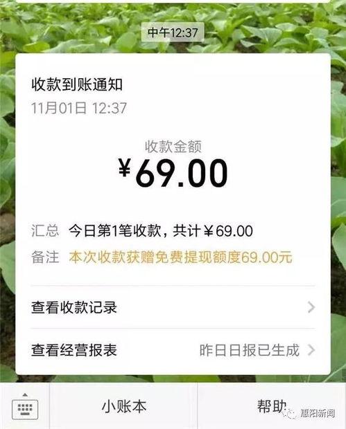 吃瓜网的注册码是什么,解锁海量瓜子的秘密钥匙