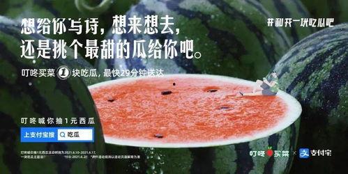 网课吃瓜文案,揭秘那些隐藏在屏幕背后的精彩瞬间